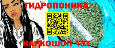 гашишное масло Кингисепп