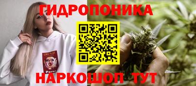гашишное масло Кингисепп