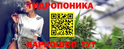 гашишное масло Кингисепп