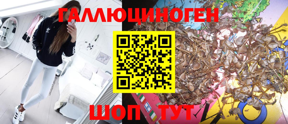 Галлюциногенные грибы прущие грибы Воронеж