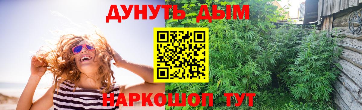 Бошки марихуана White Widow Воронеж